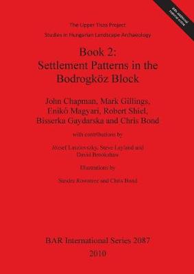 Cover of The Upper Tisza Project. Studies in Hungarian Landscape Archaeology. Book 2: Settlement Patterns in the Bodrogkoez Block