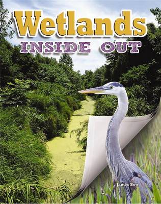 Book cover for Wetlands