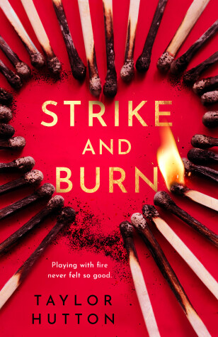 Book cover for Strike and Burn