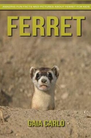 Cover of Ferret