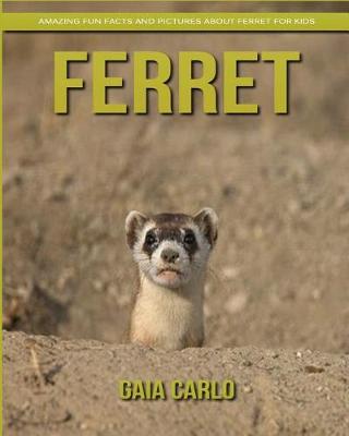 Book cover for Ferret