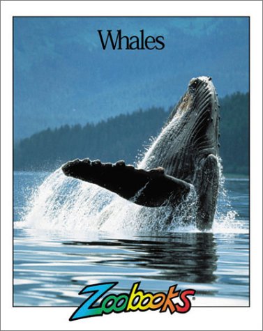 Book cover for Whales