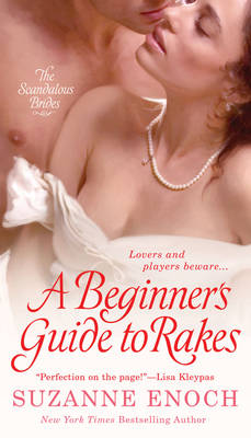 Book cover for A Beginner's Guide to Rakes