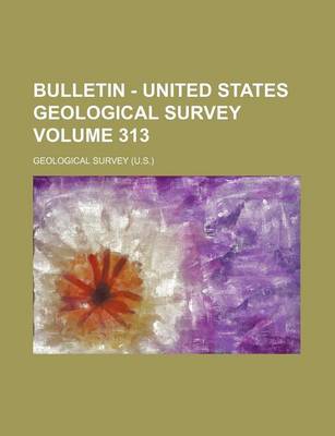 Book cover for Bulletin - United States Geological Survey Volume 313