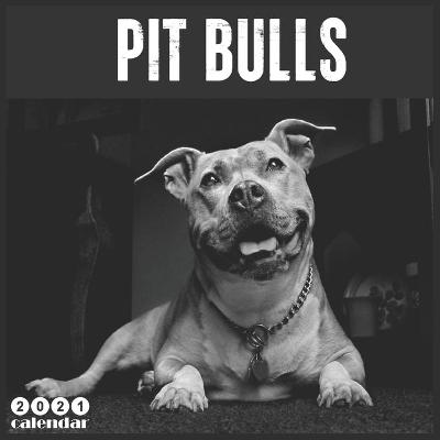 Book cover for Pit Bulls 2021 Calendar