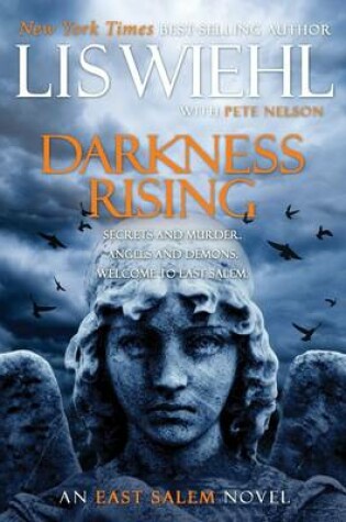 Cover of Darkness Rising