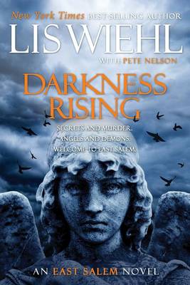Darkness Rising by Lis Wiehl, Pete Nelson