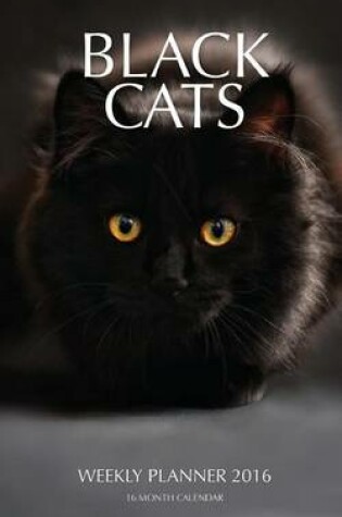 Cover of Black Cats Weekly Planner 2016