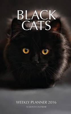 Book cover for Black Cats Weekly Planner 2016