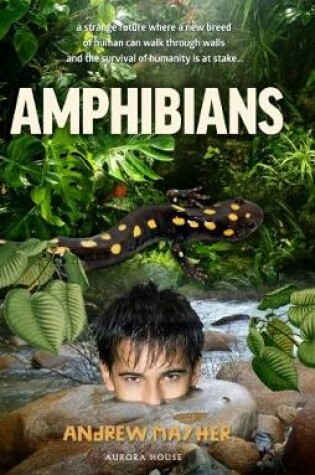 Cover of Amphi Amphibians