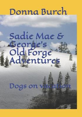 Book cover for Sadie Mae and George's Old Forge Adventure