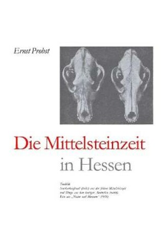 Cover of Die Mittelsteinzeit in Hessen