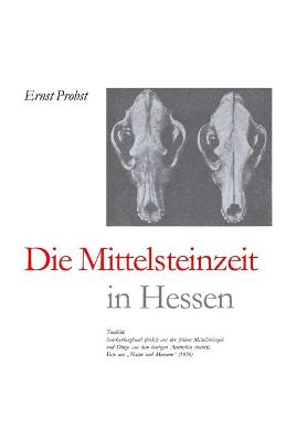 Book cover for Die Mittelsteinzeit in Hessen