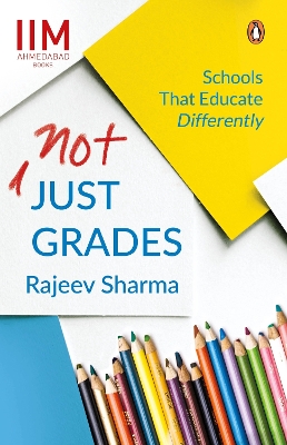 Book cover for Not Just Grades