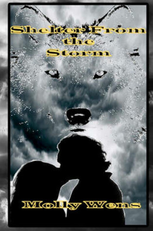 Cover of Shelter From The Storm