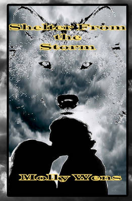 Book cover for Shelter From The Storm