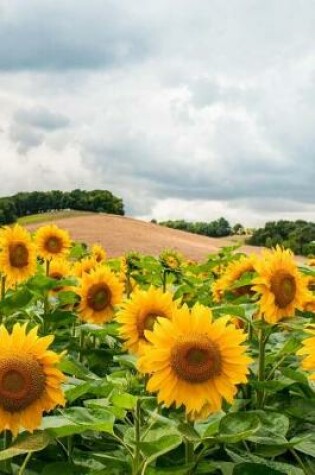 Cover of Field of Sunflowers