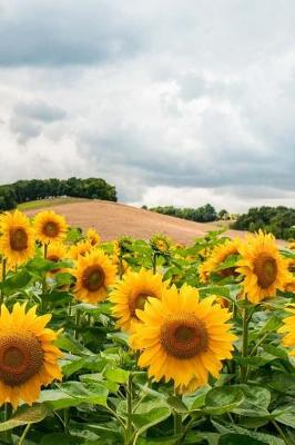 Book cover for Field of Sunflowers