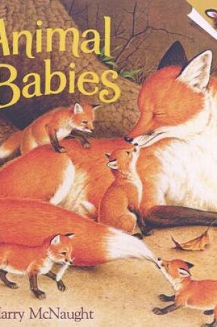 Cover of Animal Babies