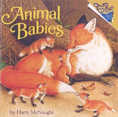 Book cover for Animal Babies