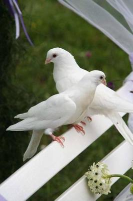 Book cover for Wedding Doves Journal