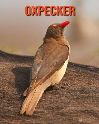 Book cover for Oxpecker