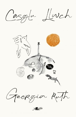 Book cover for Casglu Llwch