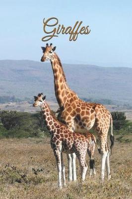 Book cover for Giraffes