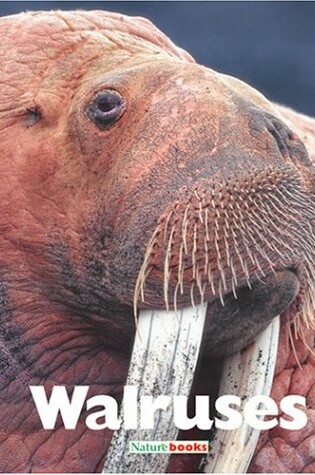 Cover of Walruses