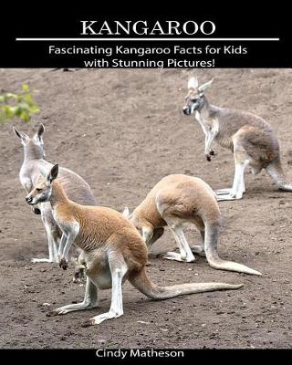 Cover of Kangaroo