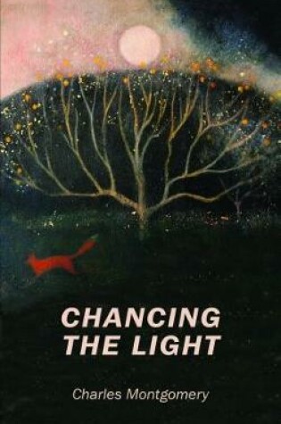 Cover of Chancing the Light