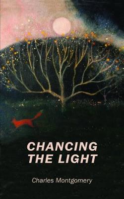 Book cover for Chancing the Light