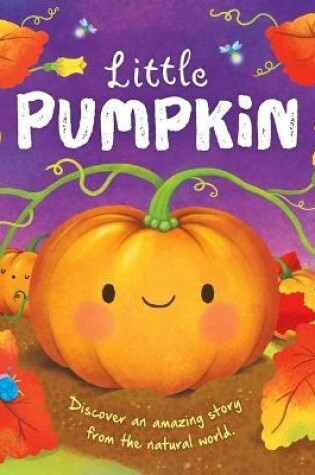 Cover of Nature Stories: Little Pumpkin-Discover an Amazing Story from the Natural World
