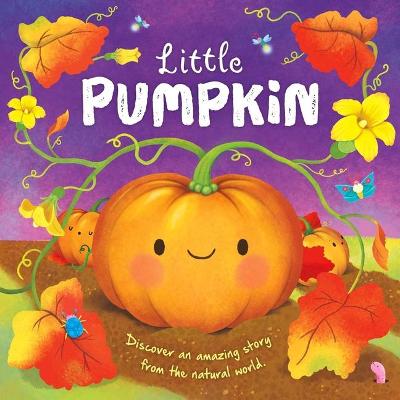 Book cover for Nature Stories: Little Pumpkin-Discover an Amazing Story from the Natural World