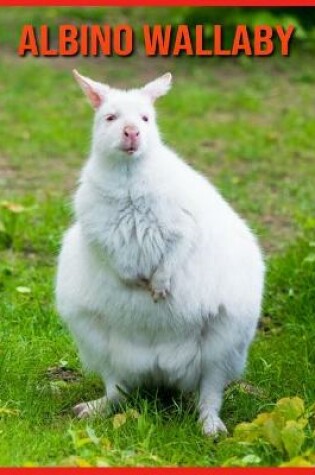 Cover of Albino Wallaby