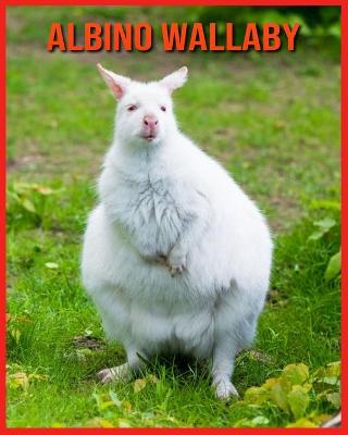 Book cover for Albino Wallaby