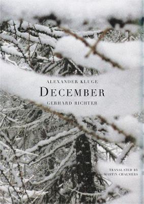 Book cover for December