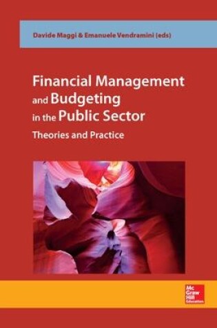 Cover of Financial management and budgeting in public sector. Theories and Practice