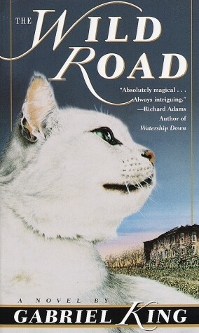 Book cover for The Wild Road