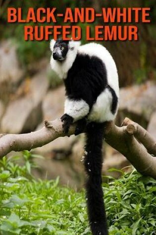 Cover of Black-and-White Ruffed Lemur