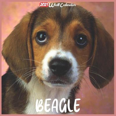 Book cover for Beagle 2021 Wall Calendar