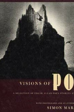 Cover of Visions of Poe