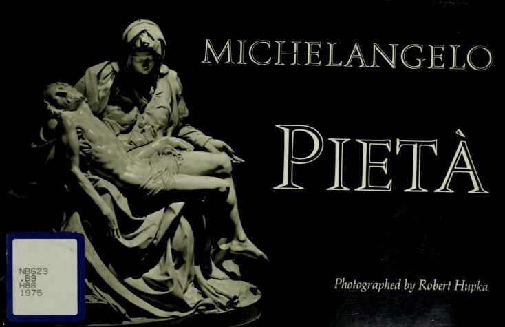 Book cover for Michelangelo Pieta P