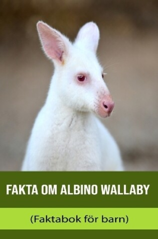 Cover of Fakta om Albino Wallaby (Faktabok för barn)
