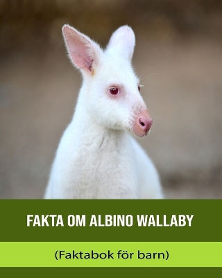 Book cover for Fakta om Albino Wallaby (Faktabok för barn)
