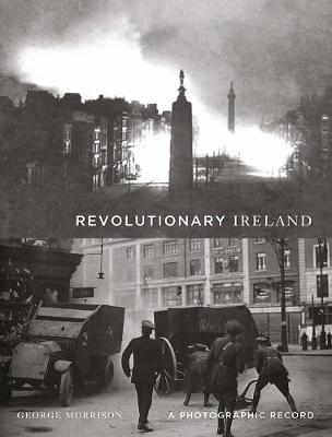 Book cover for Revolutionary Ireland