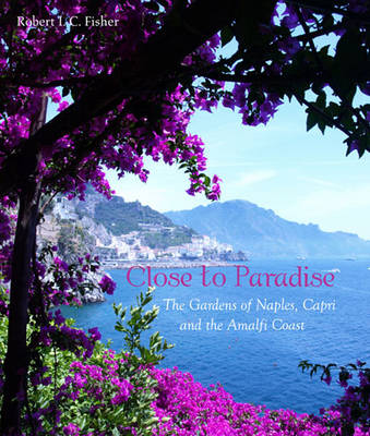 Book cover for Close to Paradise