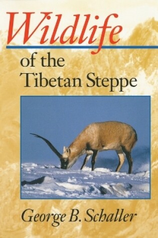 Cover of Wildlife of the Tibetan Steppe