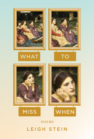 Book cover for What to Miss When