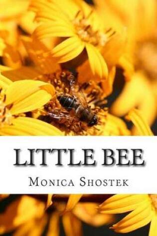 Cover of Little bee